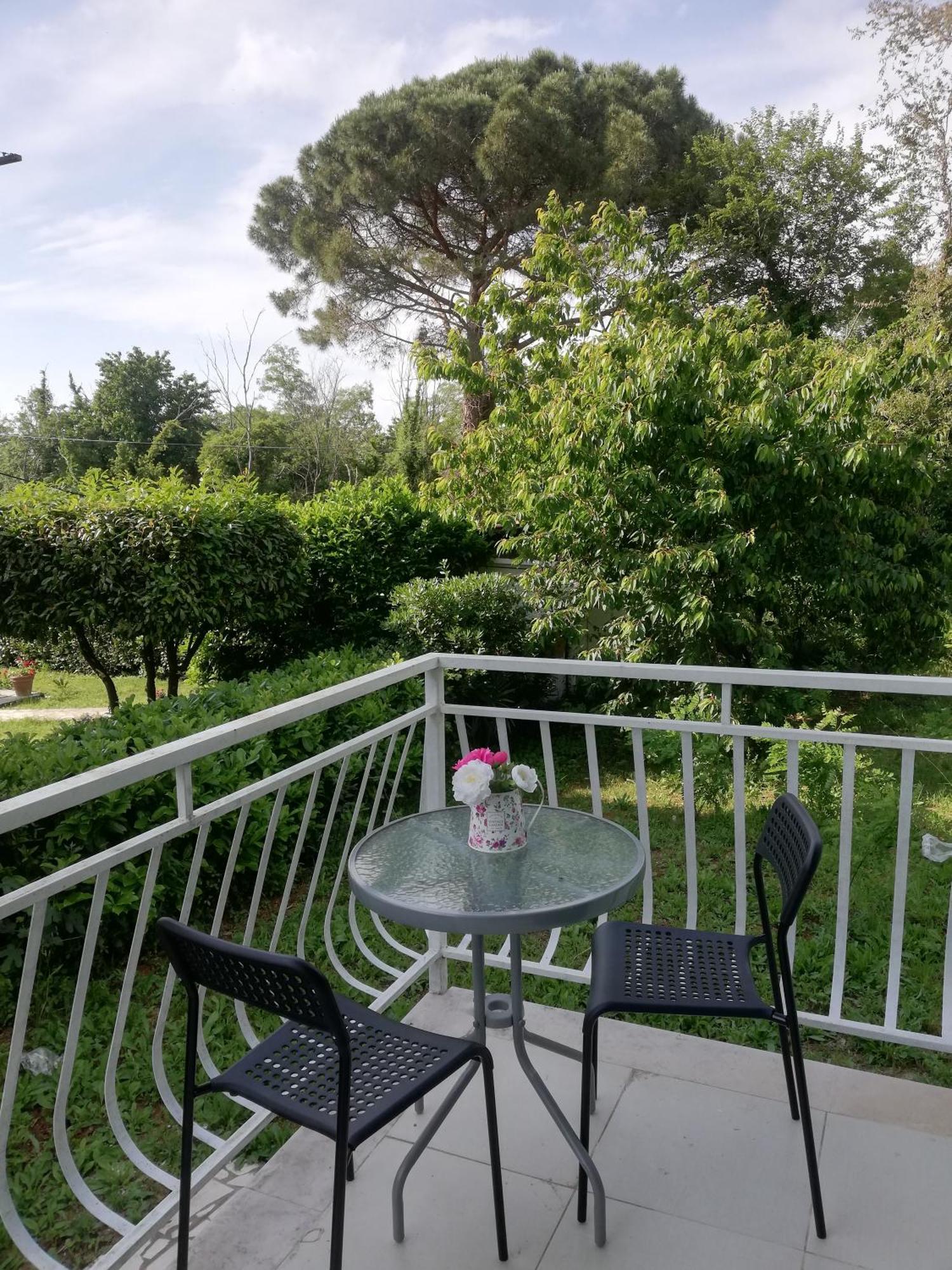 Porec Jadran Apartments Eksteriør billede